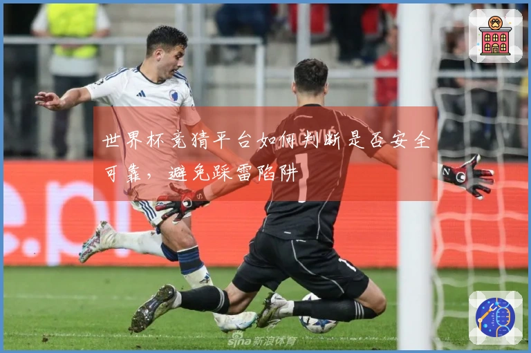 世界杯竞猜平台如何判断是否安全可靠,避免踩雷陷阱