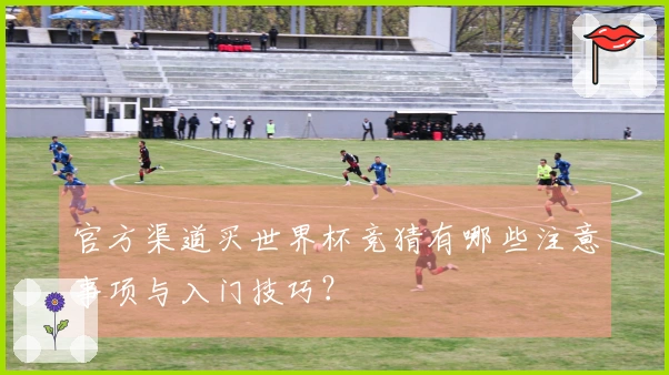 官方渠道买世界杯竞猜有哪些注意事项与入门技巧？