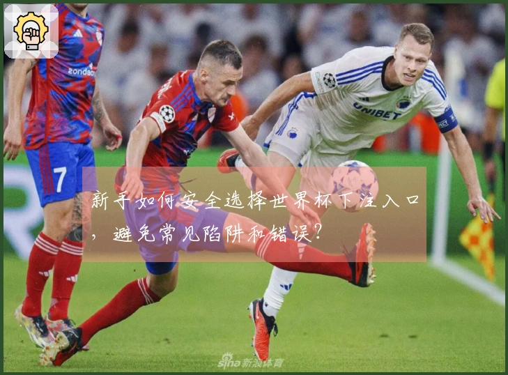 新手如何安全选择世界杯下注入口，避免常见陷阱和错误？